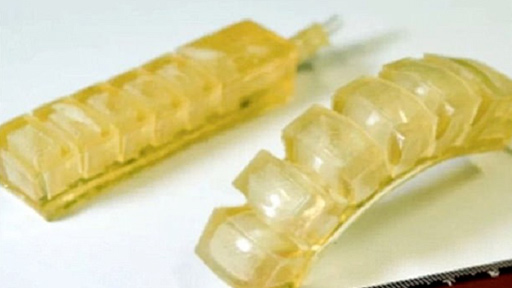 ابتكار روبوت "صالح للأكل" ينقل الدواء إلى جسم الإنسان