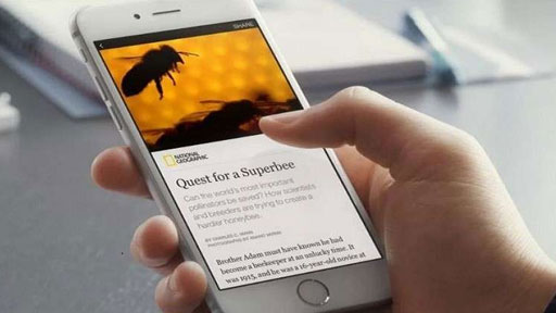 فيسبوك تزيل المقالات الفورية من تطبيق مسنجر