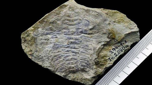 أقدم عين مكتشفة في العالم