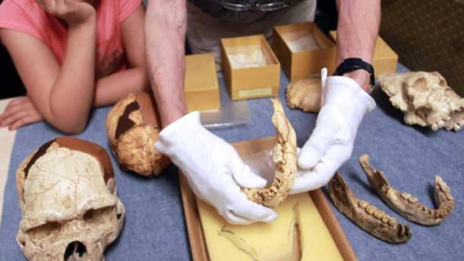 كشف مثير: متى ظهرت اللغة بتاريخ البشرية؟