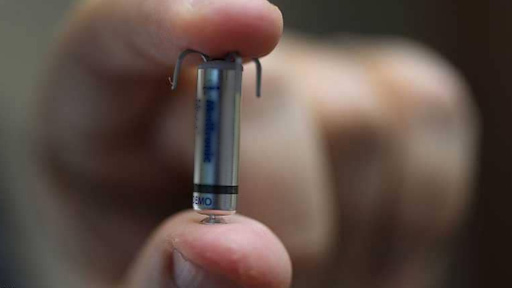 جسم الإنسان وحياته.. "ضحية جديدة" لقراصنة الإنترنت