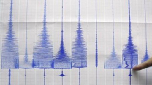 زلزال في بالي يثير ذعر السياح