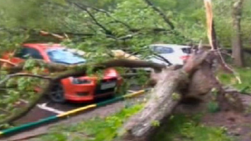 قتلى بإعصار "لم يسبق له مثيل" في موسكو