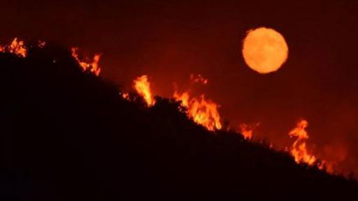 حريق غابات هائل في كاليفورنيا يجبر السكان على إخلاء منازلهم