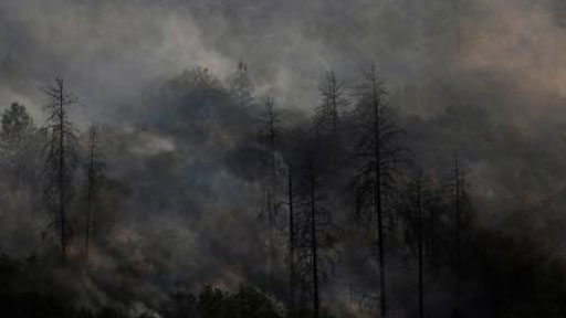 رجال الإطفاء يتمكنون من احتواء جزء كبير من حريق غابات بولاية كاليفورنيا