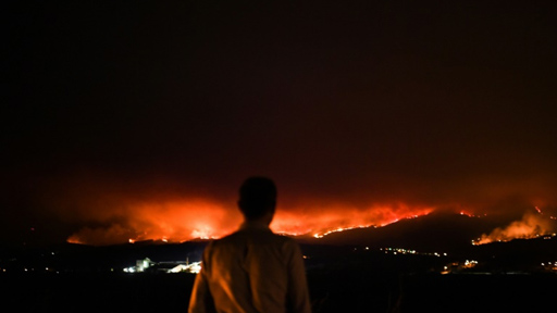 حرائق غابات جديدة تجتاح وسط البرتغال