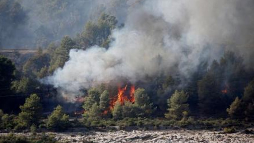 الحرائق تدمر 1400 هكتار من الغابات في جنوب فرنسا