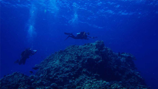 مصر.. "الثقب الأزرق" يحكي قصص الرعب في دهب