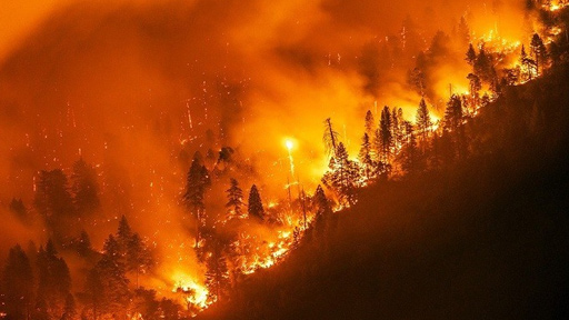 الثلج يخمد حرائق الغابات في سيبيريا