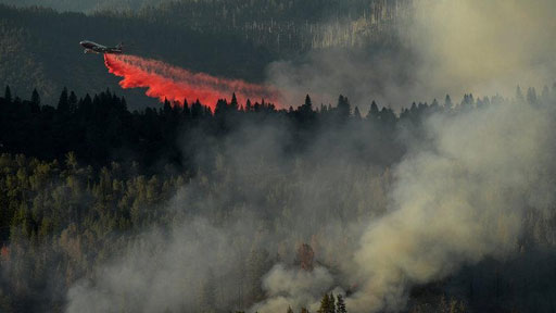 أوامر بإجلاء السكان مع اندلاع حرائق غابات في شمال غرب لوس أنجليس