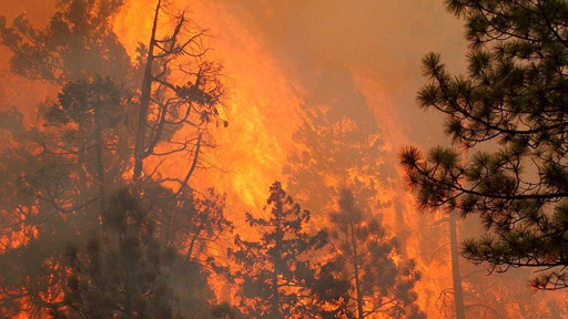 حرائق تجتاح الغرب الأميركي.. وإجلاء المئات