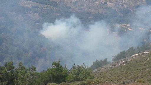 النيران اشتعلت من جديد في احراج السنديانة عكار