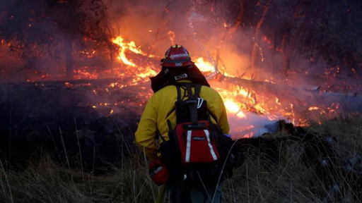 ارتفاع عدد قتلى حرائق الغابات في كاليفورنيا إلى 42 قتيلا