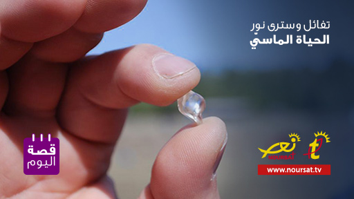 قصة اليوم : الصياد والكنز الضائع