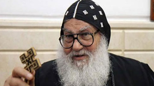 الأنبا موسى: عزوف الشباب في أوروبا وأميركا عن الإنجاب يهدّد بالانقراض