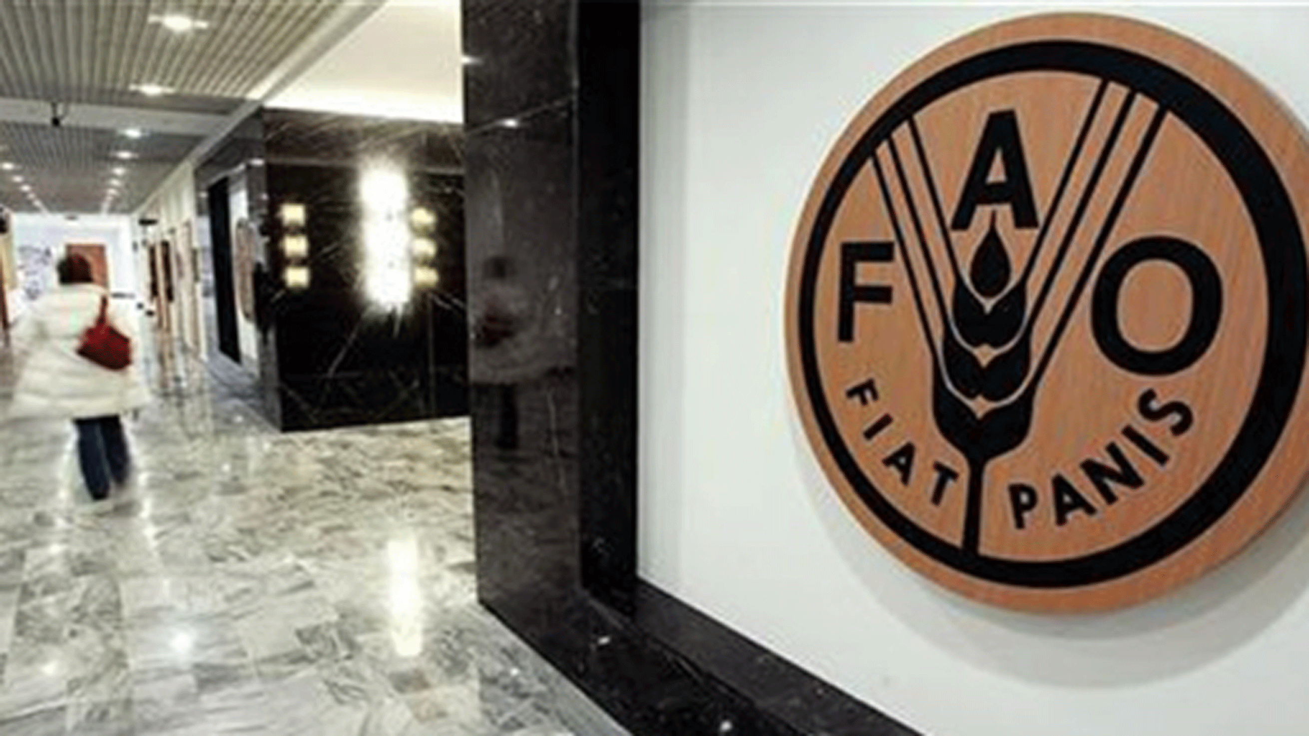 منظمة الفاو في تأسيسها وأهدافها