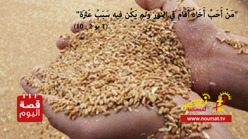 قصة اليوم : بركة الأخوين