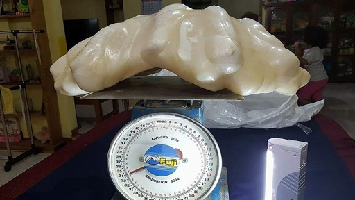 العثور على لؤلؤة عملاقة في الفلبين