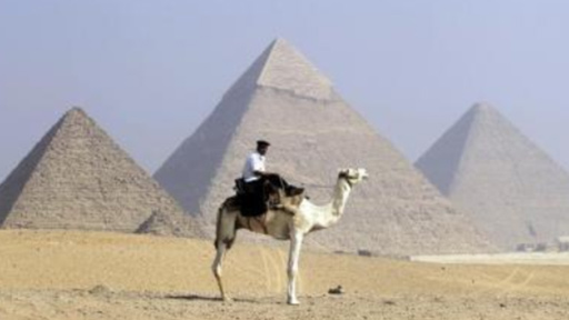 موسوعة غينيس تدخل مصر