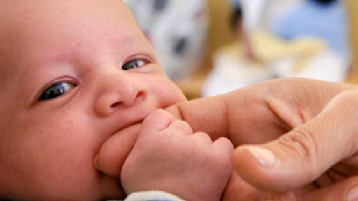 دراسة تكشف فوائد البيض والفول السوداني للرضّع