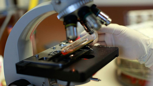 فيروس اصطناعي للقضاء على السرطان