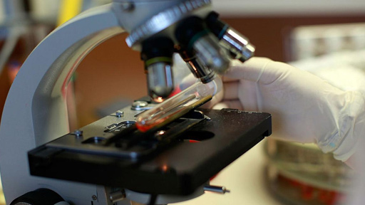 فيروس اصطناعي للقضاء على السرطان