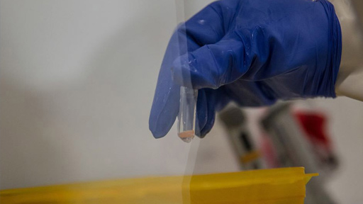 منظمة الصحة العالمية تعلن نهاية تفشي الإيبولا في الكونغو الديمقراطية