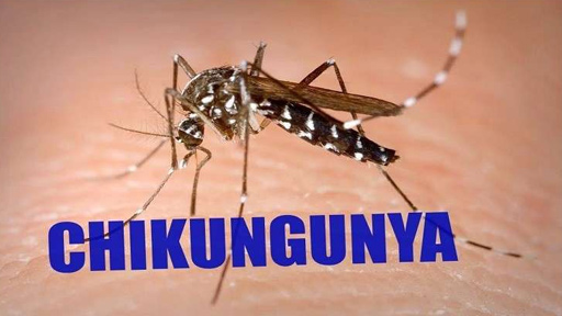 حمى "الشيكونغونيا" تهدد إيطاليا