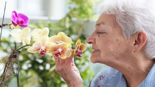 فقدان الإحساس بهذه الروائح دليل على مرض خطير