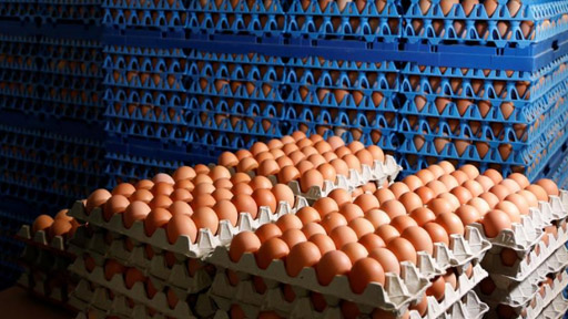 علاج السرطان بالبيض !؟