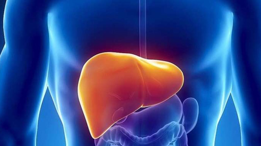 الحمية الغذائية وأهميتها لمرضى الكبد