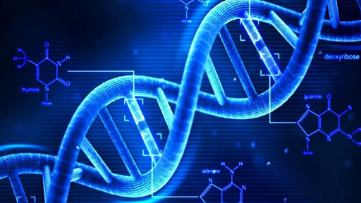 اكتشاف دواء واعد قد يوقف تكاثر خلايا السرطان بالجسم
