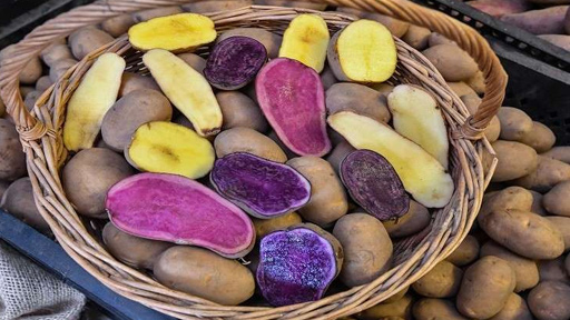 البطاطا غذاء متكامل!