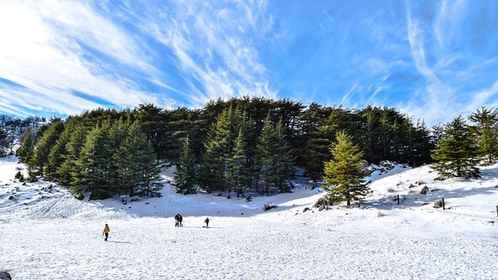 لبنان أرض القداسة. رحلة إلى الجذور (رحلة شهر كانون الثاني)