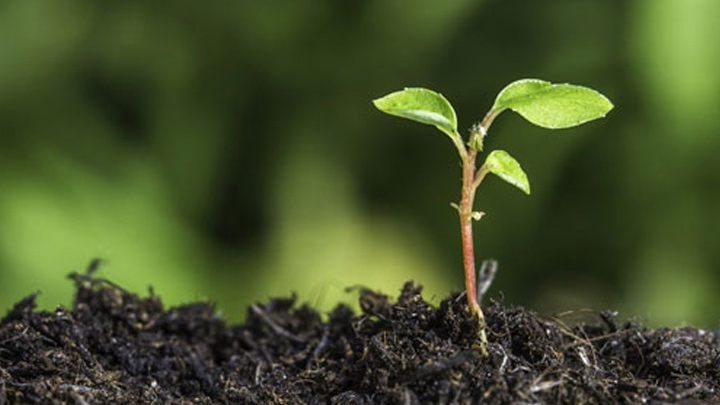 ماذا قال البابا فرنسيس عن الرّجاء؟