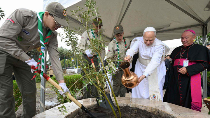 البابا غرس شجرة زيتون في المواقع الأثريّة الّتي نشط فيها القدّيس أوغسطينوس بعنابة