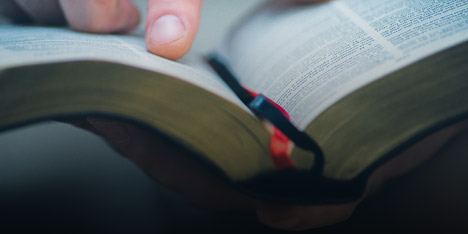 Teachings and Catechism